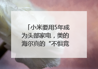 小米要用5年成为头部家电，美的海尔真的“不惧竞争”？｜热财经