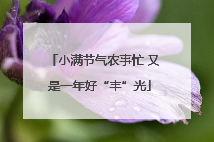 小满节气农事忙 又是一年好“丰”光