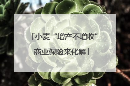 小麦“增产不增收” 商业保险来化解