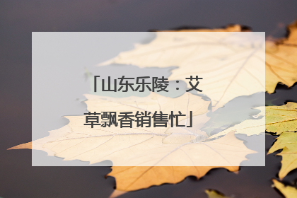 山东乐陵：艾草飘香销售忙