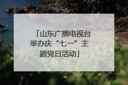 山东广播电视台举办庆“七一”主题党日活动