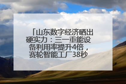 山东数字经济晒出硬实力：三一重能设备利用率提升4倍，赛轮智能工厂38秒生产一条轮胎