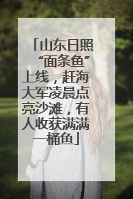 山东日照“面条鱼”上线，赶海大军凌晨点亮沙滩，有人收获满满一桶鱼