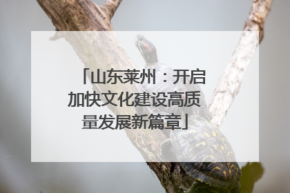 山东莱州：开启加快文化建设高质量发展新篇章