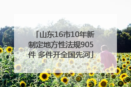 山东16市10年新制定地方性法规905件 多件开全国先河