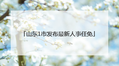 山东1市发布最新人事任免