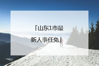 山东1市最新人事任免