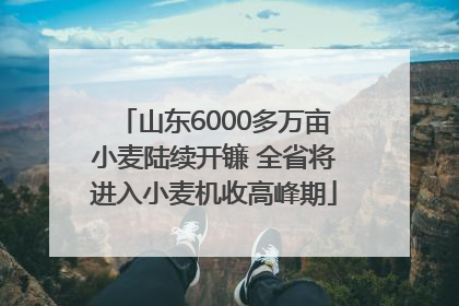 山东6000多万亩小麦陆续开镰 全省将进入小麦机收高峰期