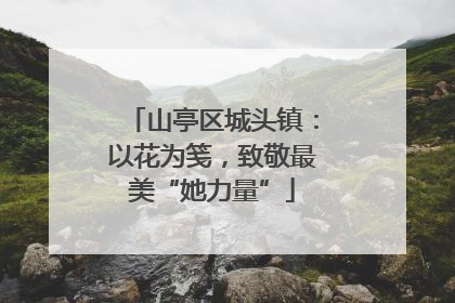 山亭区城头镇：以花为笺，致敬最美“她力量”