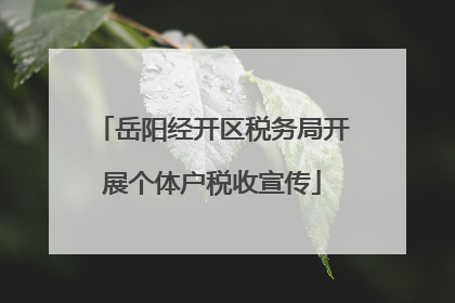 岳阳经开区税务局开展个体户税收宣传