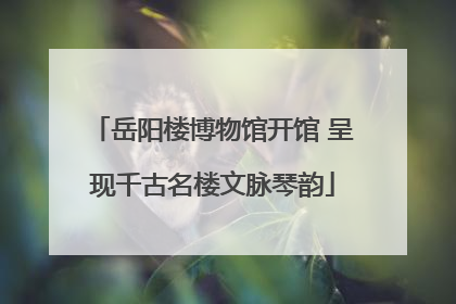 岳阳楼博物馆开馆 呈现千古名楼文脉琴韵