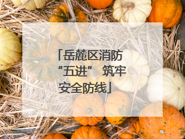 岳麓区消防 “五进” 筑牢安全防线