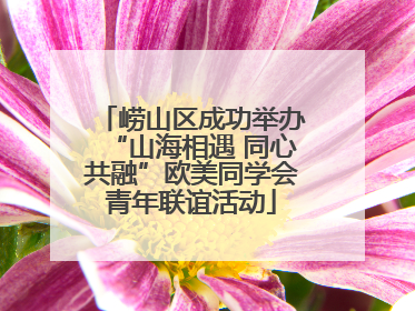 崂山区成功举办“山海相遇 同心共融”欧美同学会青年联谊活动