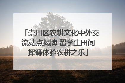 崇川区农耕文化中外交流站点揭牌 留学生田间挥镰体验农耕之乐