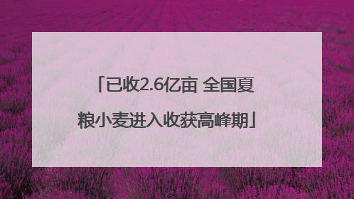 已收2.6亿亩 全国夏粮小麦进入收获高峰期