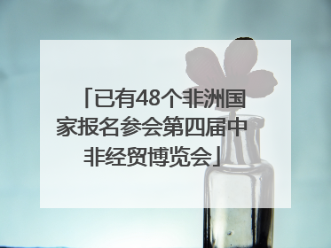已有48个非洲国家报名参会第四届中非经贸博览会