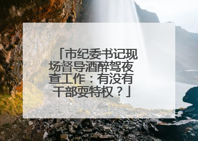 市纪委书记现场督导酒醉驾夜查工作：有没有干部耍特权？