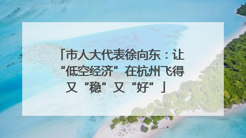 市人大代表徐向东：让“低空经济”在杭州飞得又“稳”又“好”