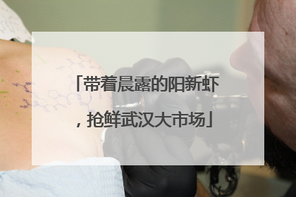 带着晨露的阳新虾，抢鲜武汉大市场