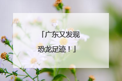 广东又发现恐龙足迹！