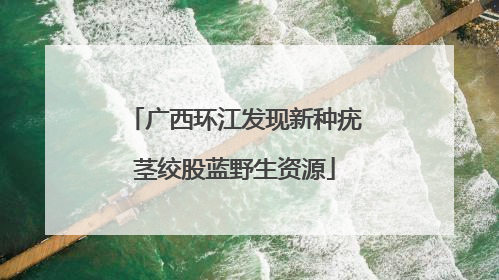 广西环江发现新种疣茎绞股蓝野生资源