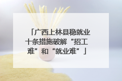 广西上林县稳就业十条措施破解“招工难”和“就业难”