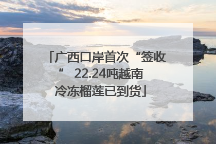 广西口岸首次“签收” 22.24吨越南冷冻榴莲已到货