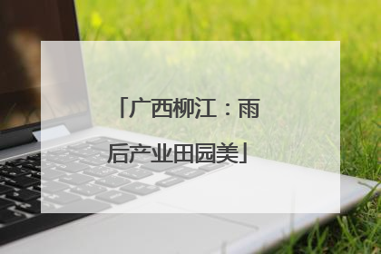 广西柳江：雨后产业田园美