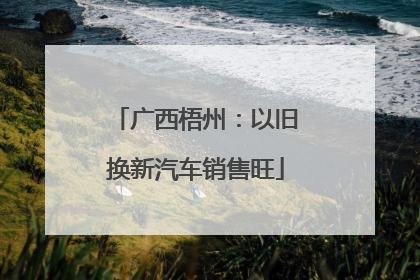 广西梧州：以旧换新汽车销售旺