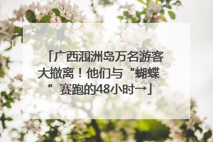 广西涠洲岛万名游客大撤离！他们与“蝴蝶”赛跑的48小时→