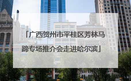 广西贺州市平桂区芳林马蹄专场推介会走进哈尔滨