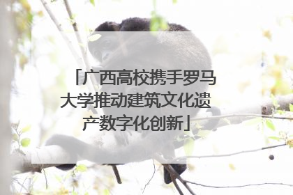 广西高校携手罗马大学推动建筑文化遗产数字化创新