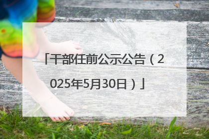 干部任前公示公告（2025年5月30日）