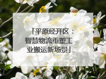 平原经开区：智慧物流重塑工业搬运新场景
