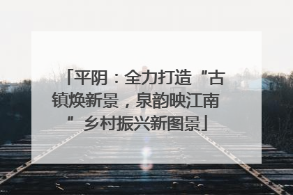 平阴：全力打造“古镇焕新景，泉韵映江南”乡村振兴新图景