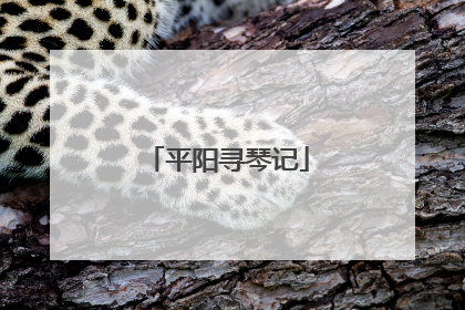 平阳寻琴记