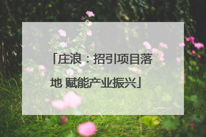 庄浪：招引项目落地 赋能产业振兴