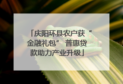庆阳环县农户获“金融礼包” 普惠贷款助力产业升级