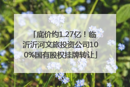 底价约1.27亿！临沂沂河文旅投资公司100%国有股权挂牌转让