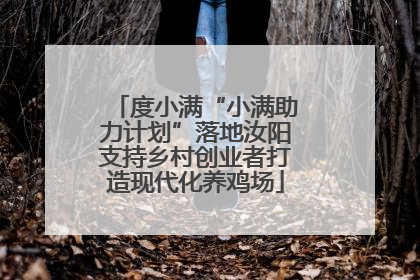 度小满“小满助力计划”落地汝阳支持乡村创业者打造现代化养鸡场