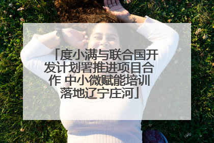 度小满与联合国开发计划署推进项目合作 中小微赋能培训落地辽宁庄河