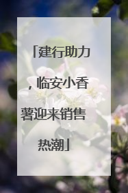 建行助力，临安小香薯迎来销售热潮