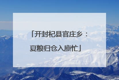 开封杞县官庄乡：夏粮归仓入廪忙