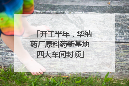 开工半年，华纳药厂原料药新基地四大车间封顶