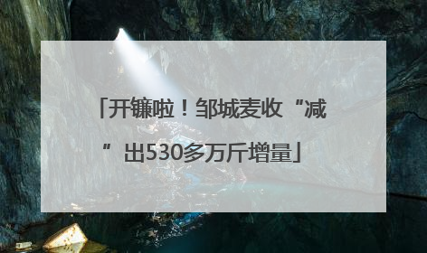 开镰啦！邹城麦收“减”出530多万斤增量