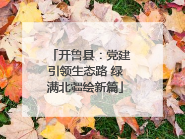 开鲁县：党建引领生态路 绿满北疆绘新篇