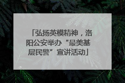 弘扬英模精神，洛阳公安举办“最美基层民警”宣讲活动
