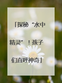 探秘“水中精灵”！孩子们直呼神奇