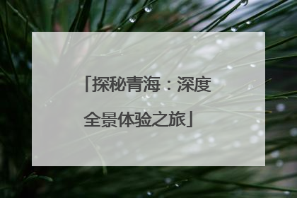 探秘青海：深度全景体验之旅