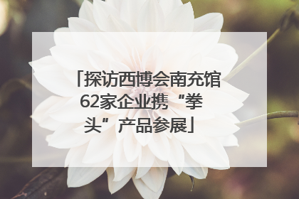 探访西博会南充馆 62家企业携“拳头”产品参展